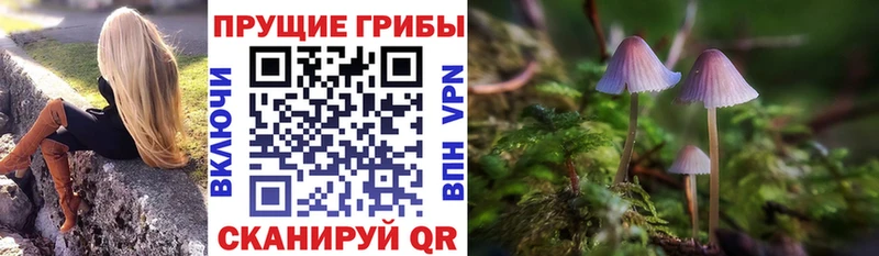 блэк спрут онион  Саранск  Псилоцибиновые грибы мицелий  где продают наркотики 
