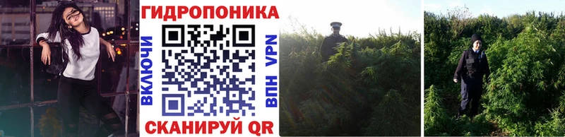 гидра онион  Саранск  Каннабис семена  наркотики 